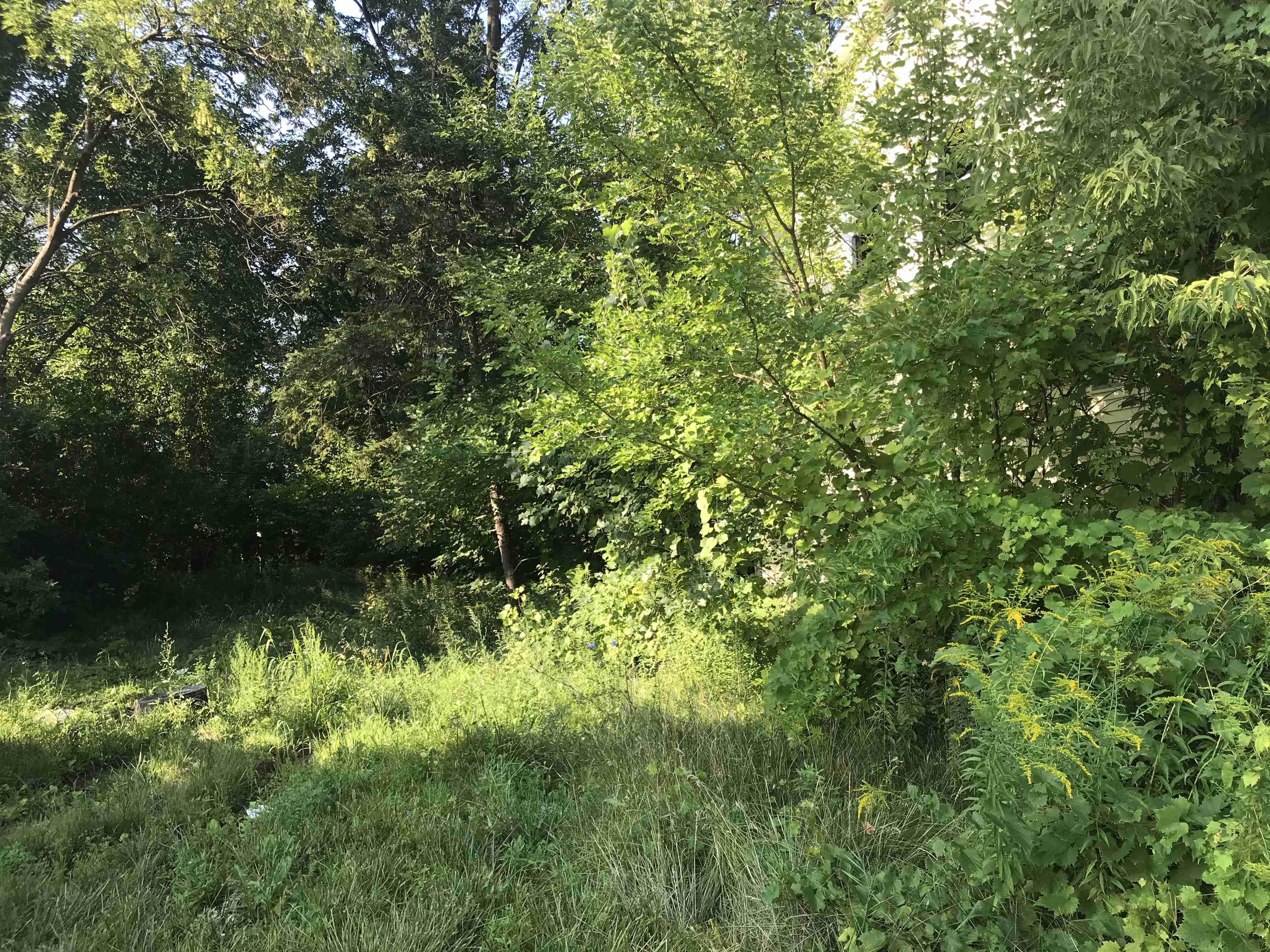 Photo Aug 24, 9 15 19 AM.jpg